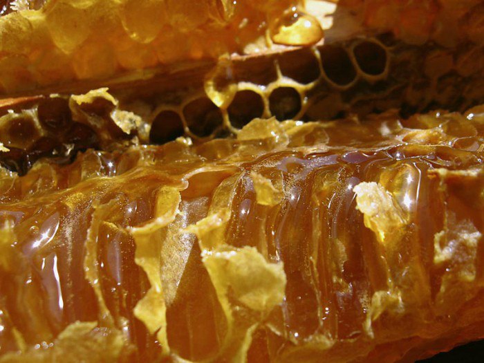 Самые полезные виды мёда: гречишный, липовый, каштановый