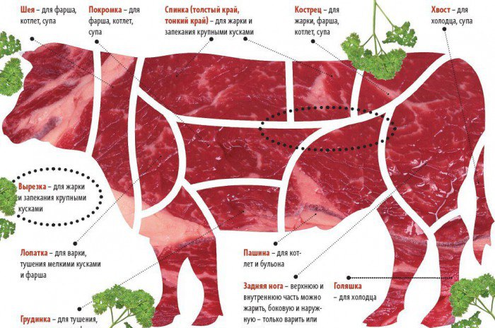 Что такое «парное мясо»?