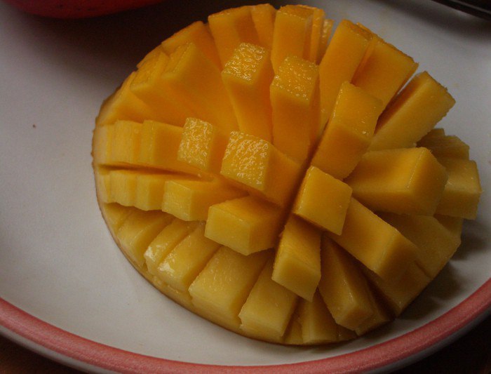 советы как посадить манго из косточки