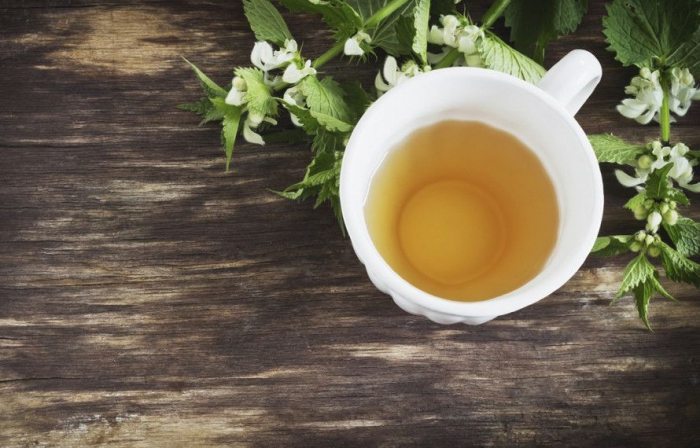 Чай из крапивы: польза и вред