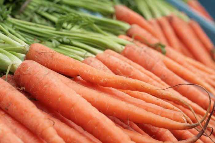 Народные методы, помогающие избавиться от морковной мушки на грядке