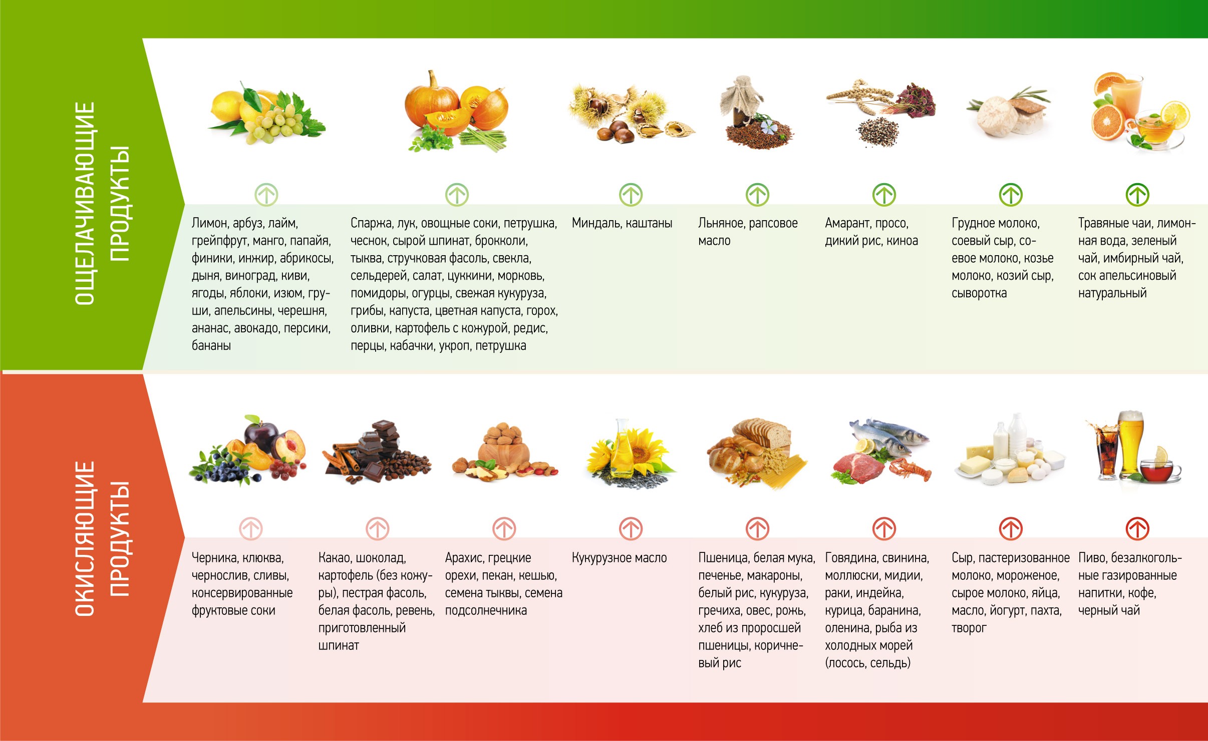 Таблица продуктов при щелочной диете