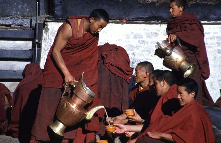 Ценные свойства тибетского чая