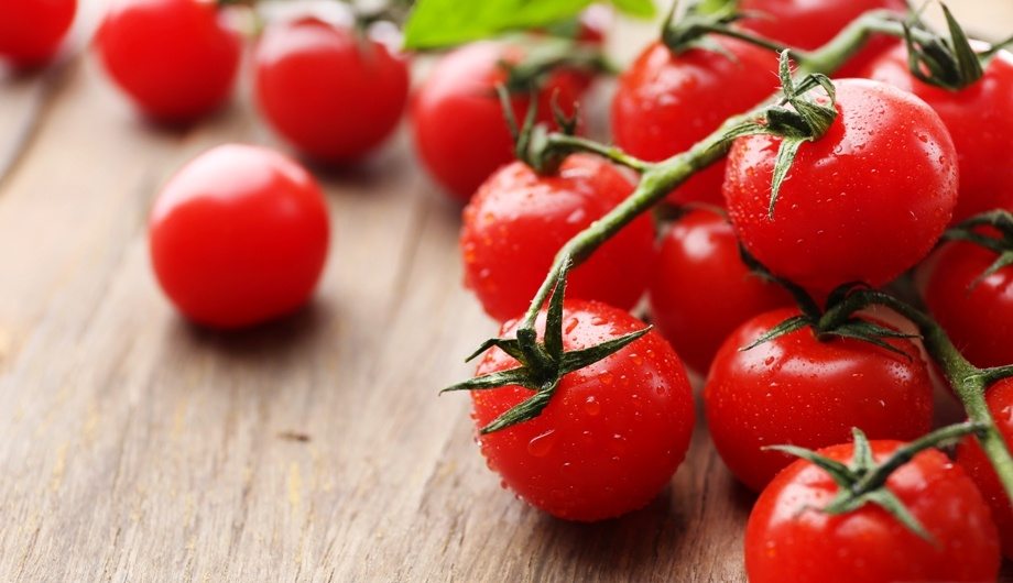 Калорийность помидоров: свежих, соленых, маринованных