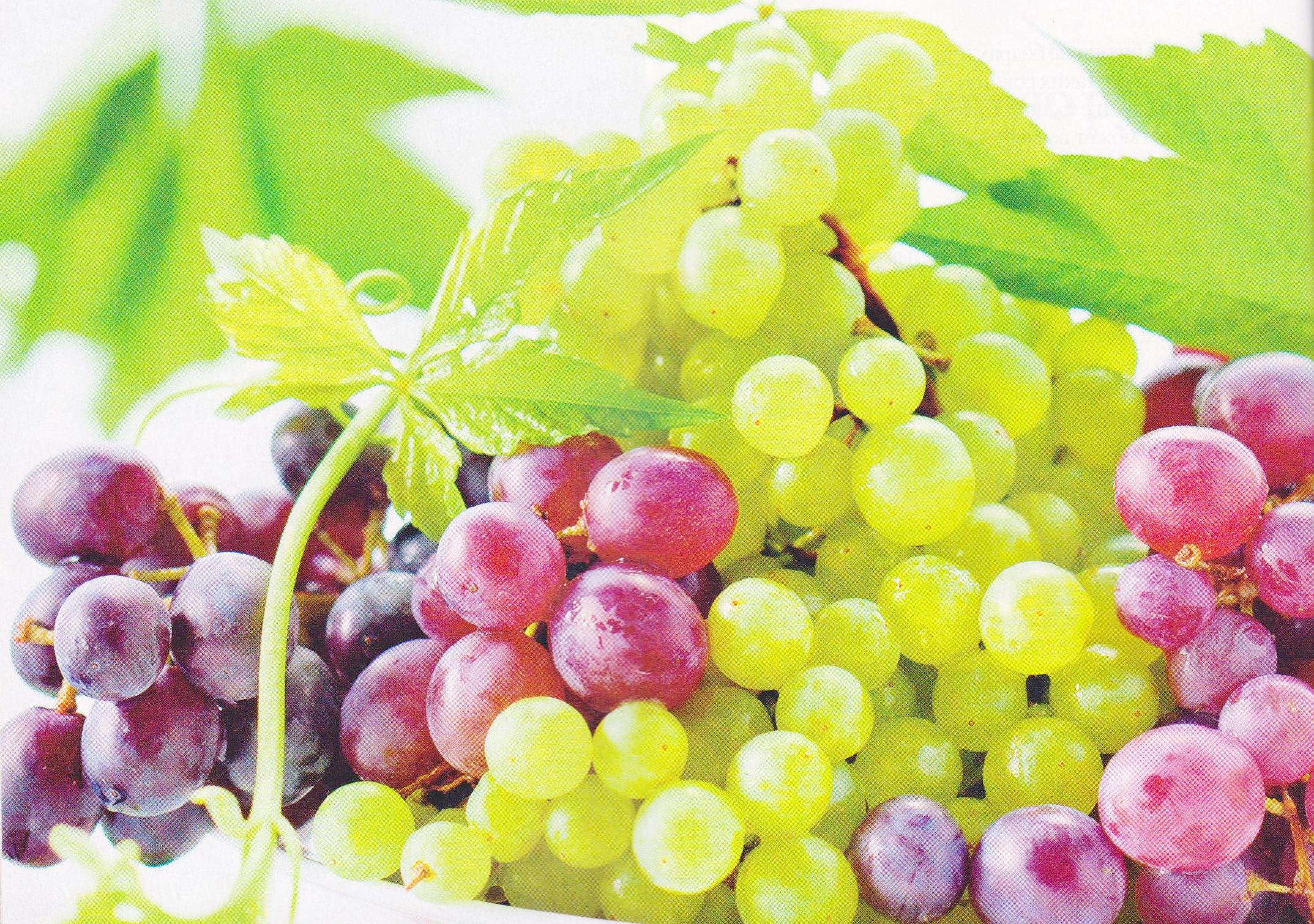 Состав и калорийность винограда